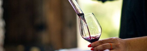 Descubrir el vino-photo