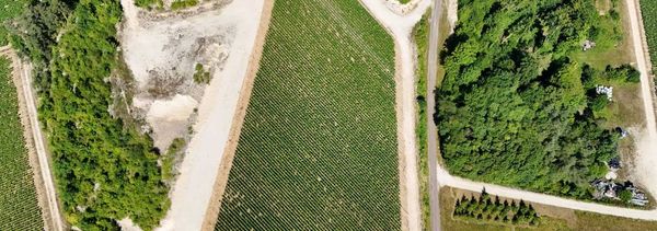 Escape game - The missing winegrower-photo