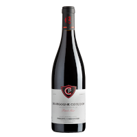 Maison Philippe Cordonnier Bourgogne Côte d'Or &quot;Pinot Noir&quot; 2019 Rood