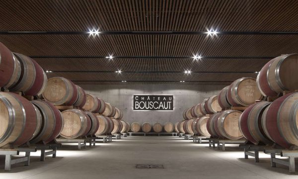 Private tour vineyard and cellars-photo