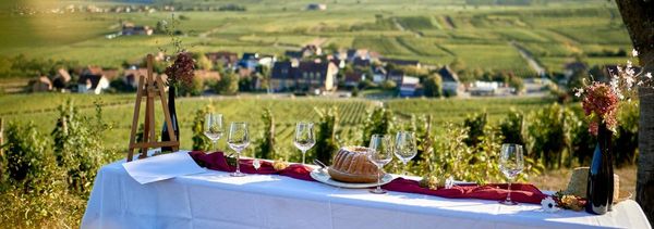 An immersive experience at the heart of the Schoenenbourg Grand Cru-photo