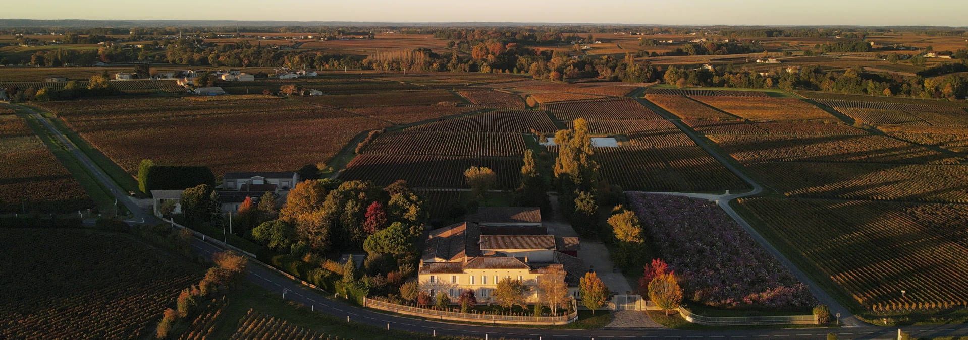 Château Grand Corbin-Despagne - Rue des Vignerons