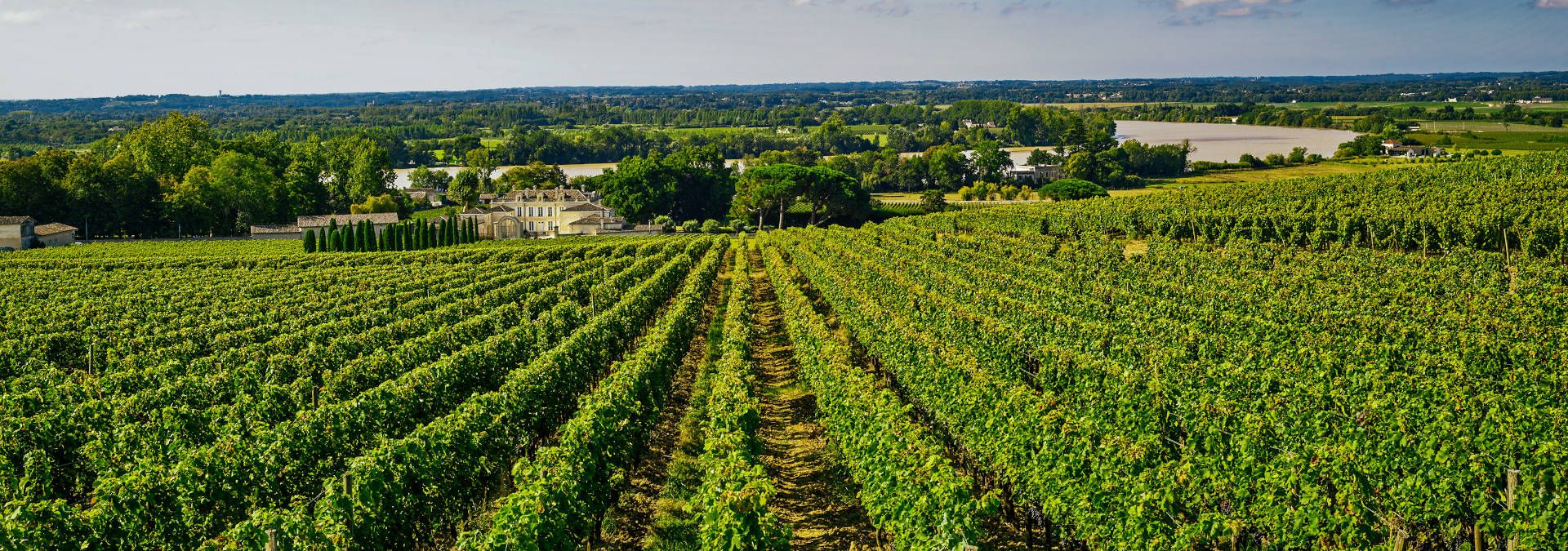 Château de la Dauphine - Rue des Vignerons