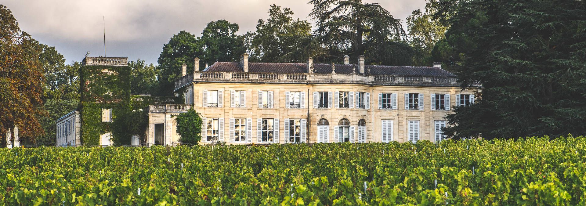 Château du Taillan - Rue des Vignerons