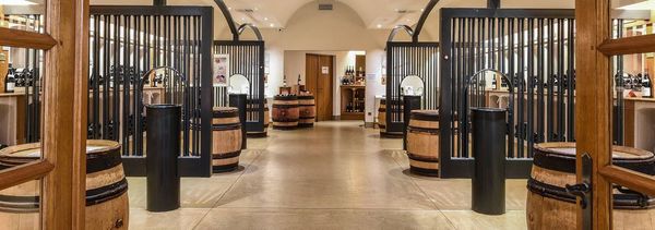 Hospices de Nuits Cata gastronómica-photo