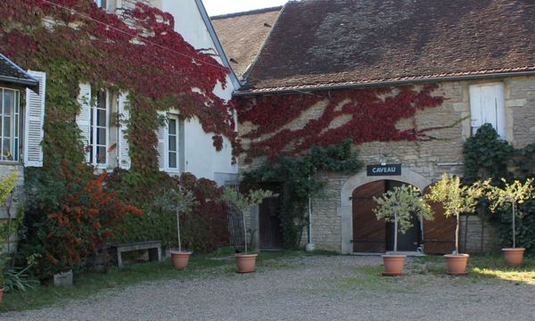 4 vins de Bourgogne-photo