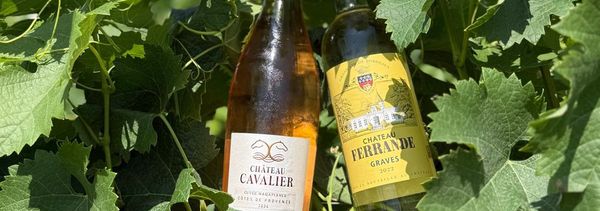 Degustationsabend Weiß und Rosé-photo