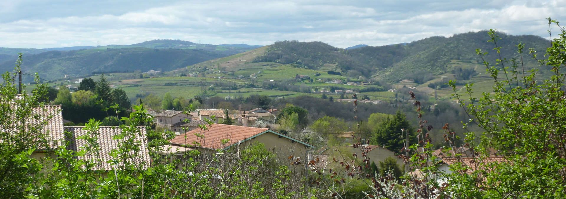 Domaine Belle - Rue des Vignerons