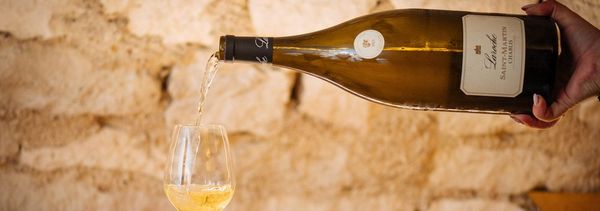 Kunst van de zintuigen expert-photo