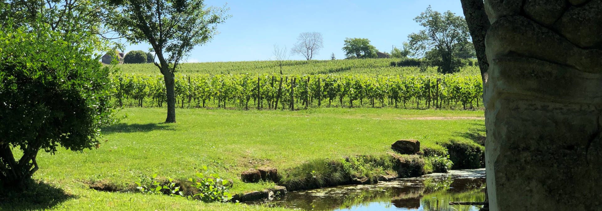 Château Fonroque - Rue des Vignerons