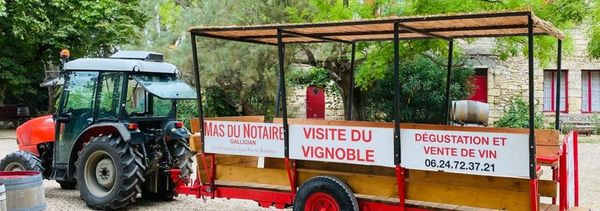 TRACTO TOUR - La balade du vignoble en famille-photo