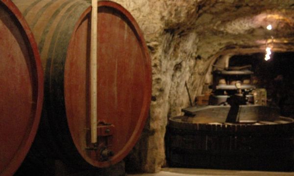 Découverte de la Touraine et de Chenonceaux-photo