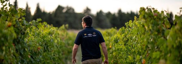 Descubrir la bodega-photo