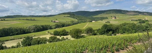 Welcome discovery tour & wine tasting-photo