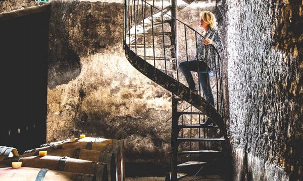 ⭐️ Château du Taillan Tour ➡️ Reviews, Price - 2025 ⭐️ Château du Taillan Tour ➡️ Reviews, Price - 2025