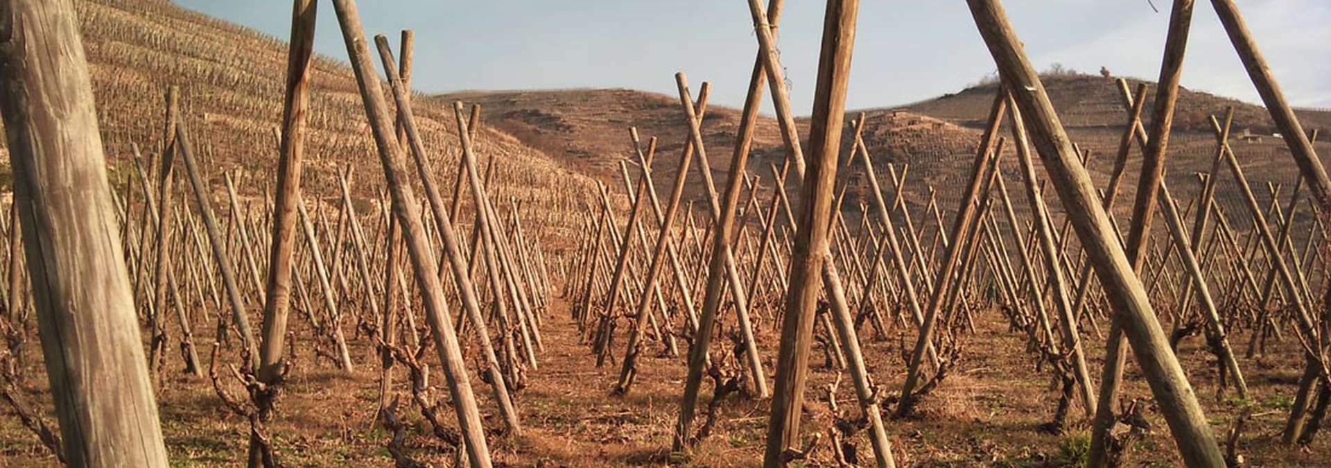 Domaine Garon - Rue des Vignerons