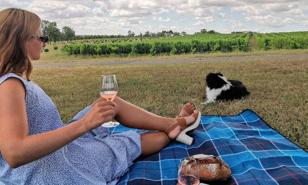Picnic in the vineyards of Domaine Gayrard-photo