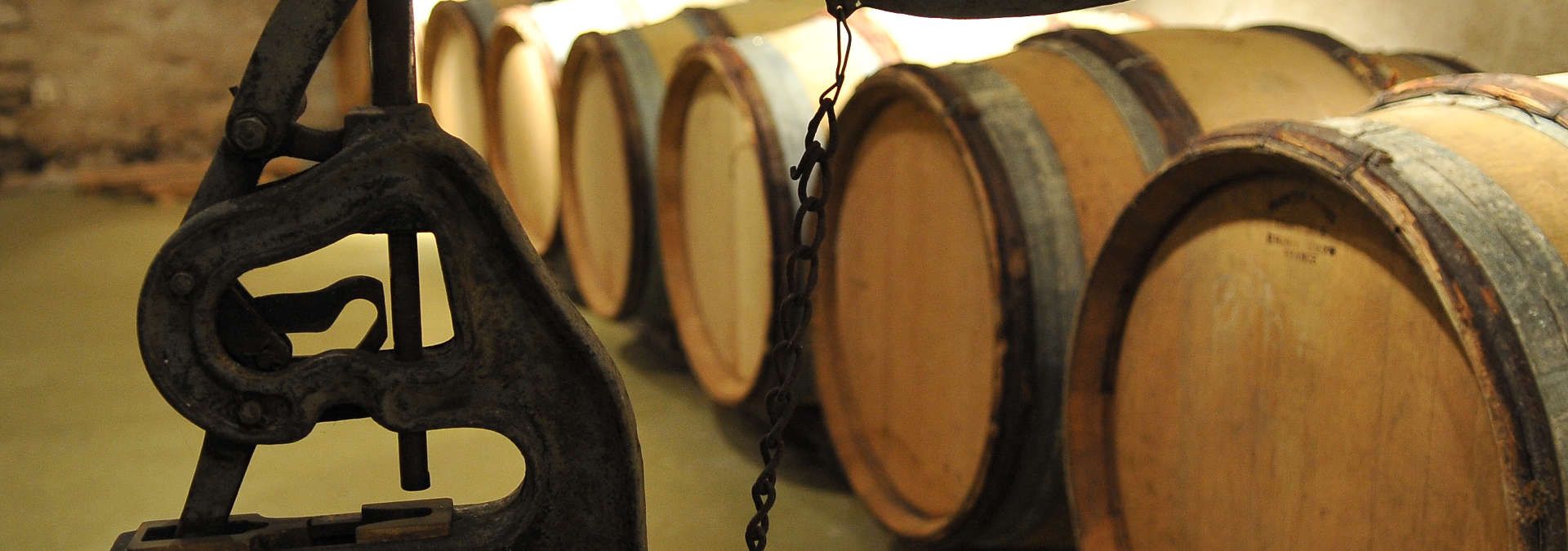 Domaine Testut - Rue des Vignerons