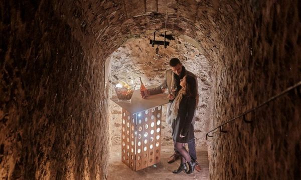 Visit and tasting of three champagnes-photo