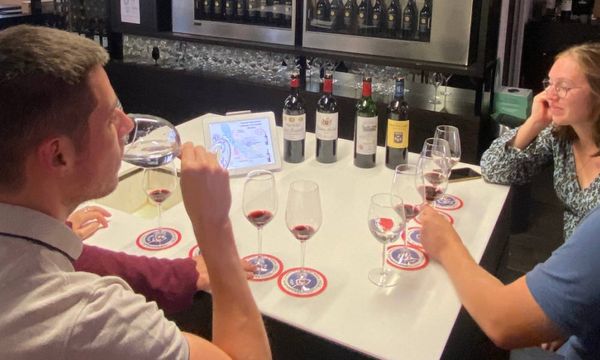 Introduction to Bordeaux wine tasting-photo