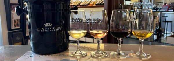Dégustation au comptoir de vins d'Anjou Saumur-photo