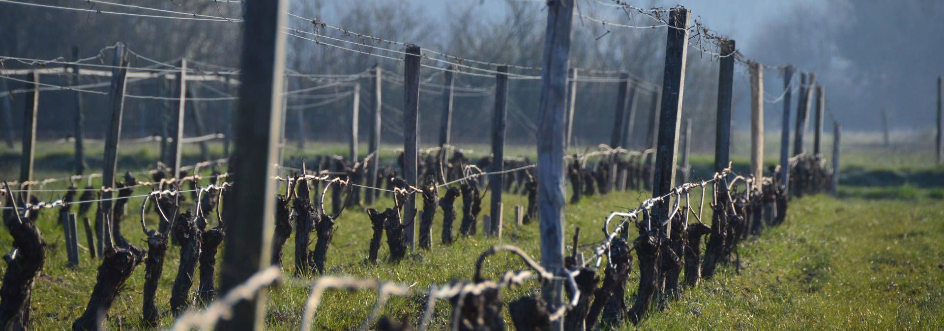 Domaine de Montcy - Rue des Vignerons