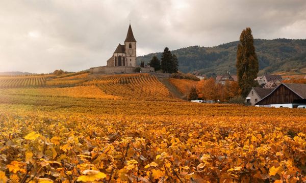 Journée Excursion en Alsace, depuis Colmar-photo