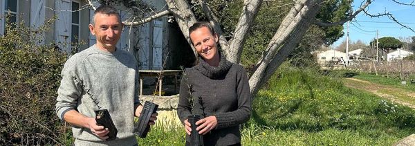 Descubra el mundo de los árboles con 2 viveristas-photo