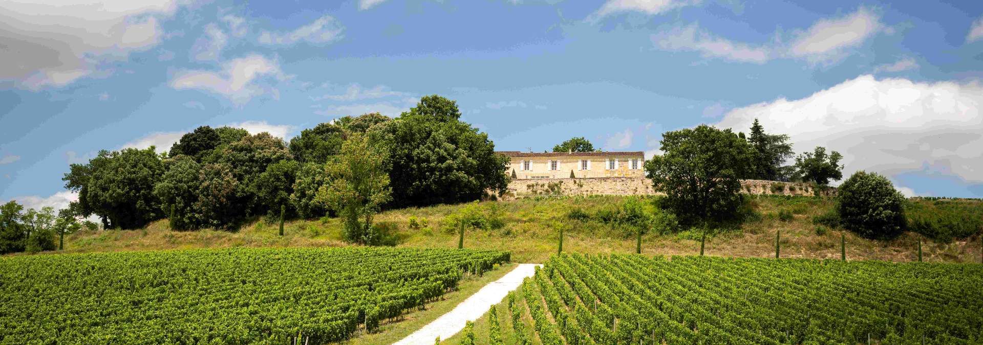 Château Quintus - Rue des Vignerons