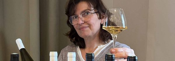 Proeverij van 100% biologische Elzaswijnen-photo