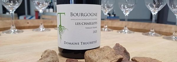 Visite dégustation avec un vigneron-photo