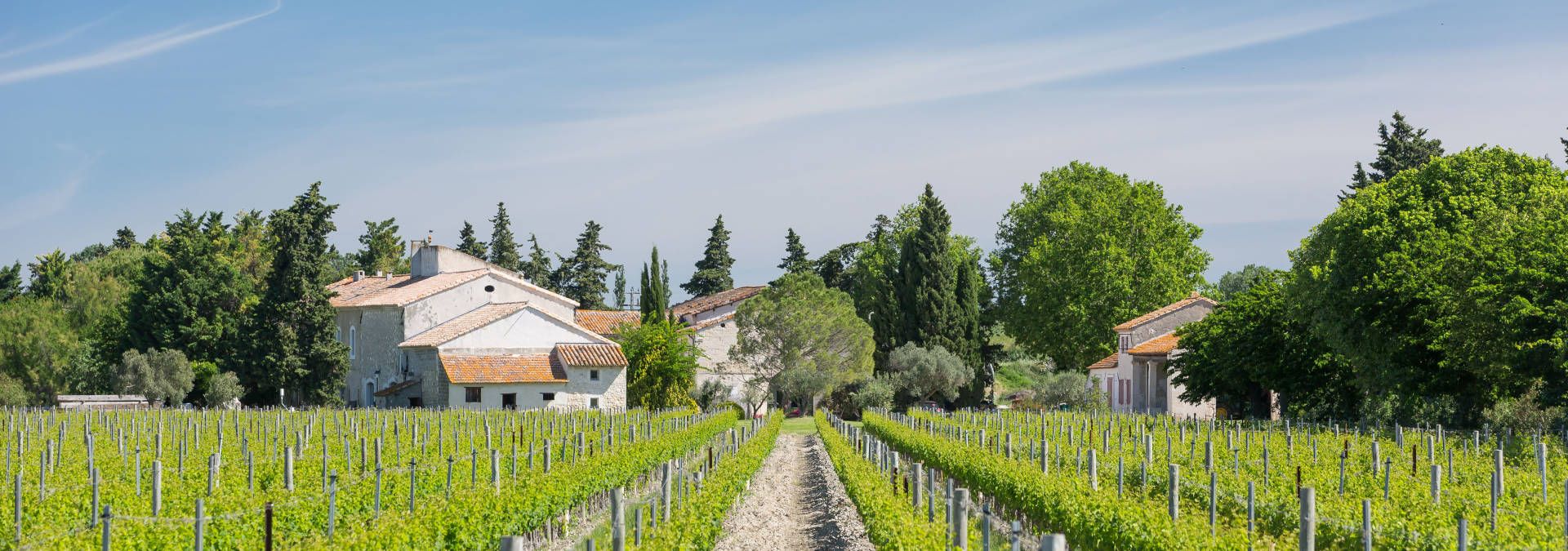 Mas de Rey - Rue des Vignerons