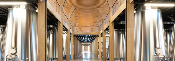 L’atelier découverte de Cantemerle-photo