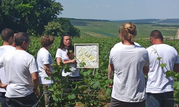 Découverte de notre domaine Clotilde Davenne-photo