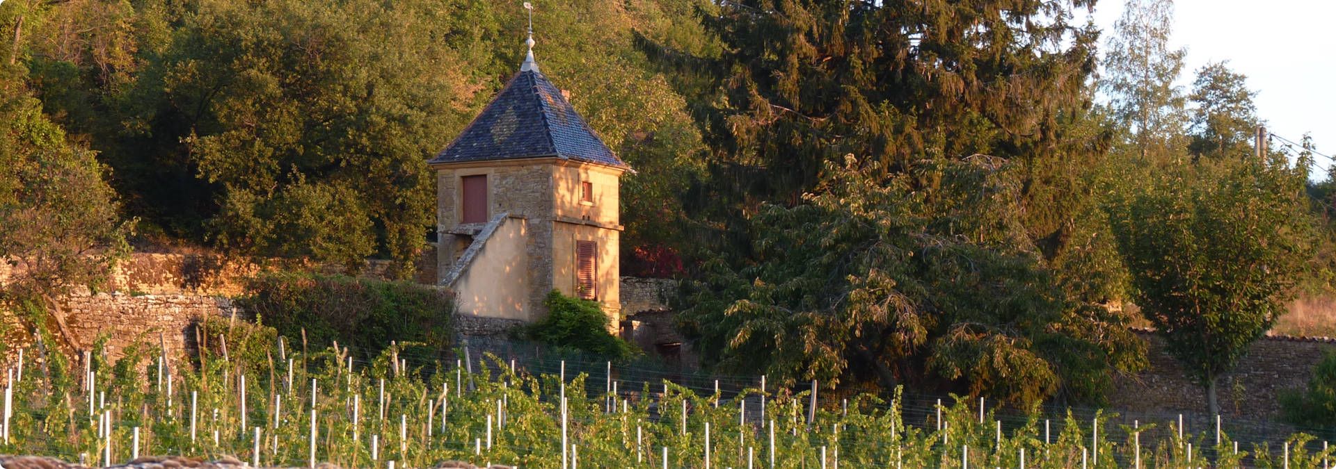 Château Thivin - Rue des Vignerons
