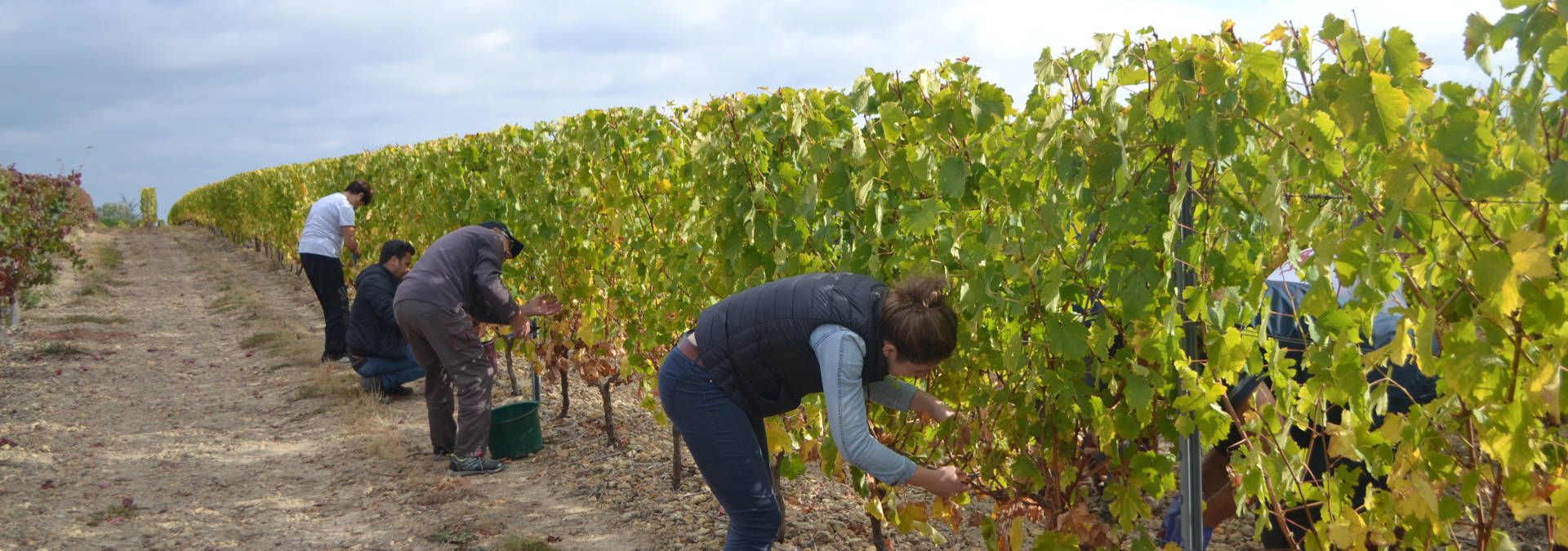 Domaine du Moulin de l'Horizon - Rue des Vignerons
