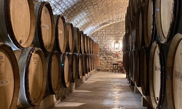 Descubrimiento de las bodegas y degustación-photo