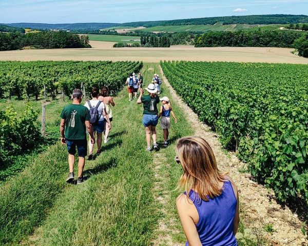 L'instant champagne & nature - 9 maggio 2026-photo