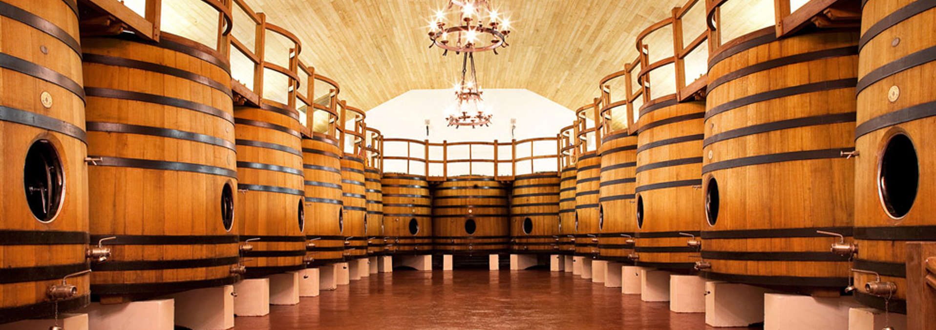 Château Fombrauge - Rue des Vignerons 