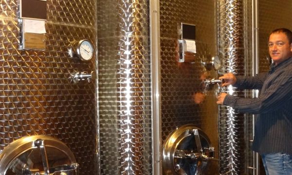 Discovering the winery : its cellar and its wines-photo