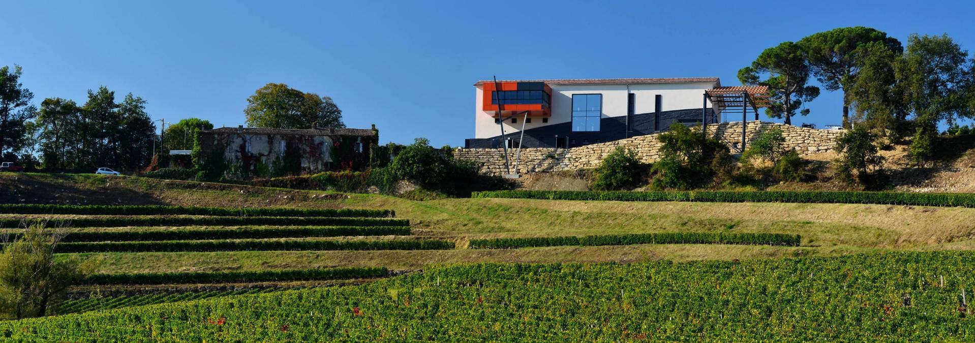 Château La Croizille - Rue des Vignerons