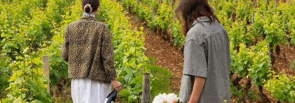 Een verblijf tussen wijngaarden en ontspanning, 2 nachten-photo