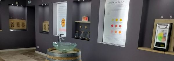 Vinotarium-photo