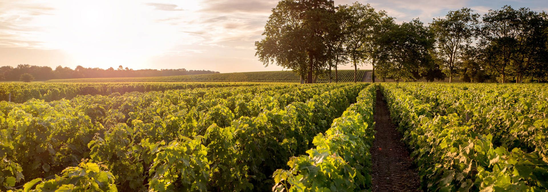 Château Lagrange - Rue des Vignerons