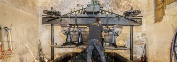 Das Champagner-Fresko-photo