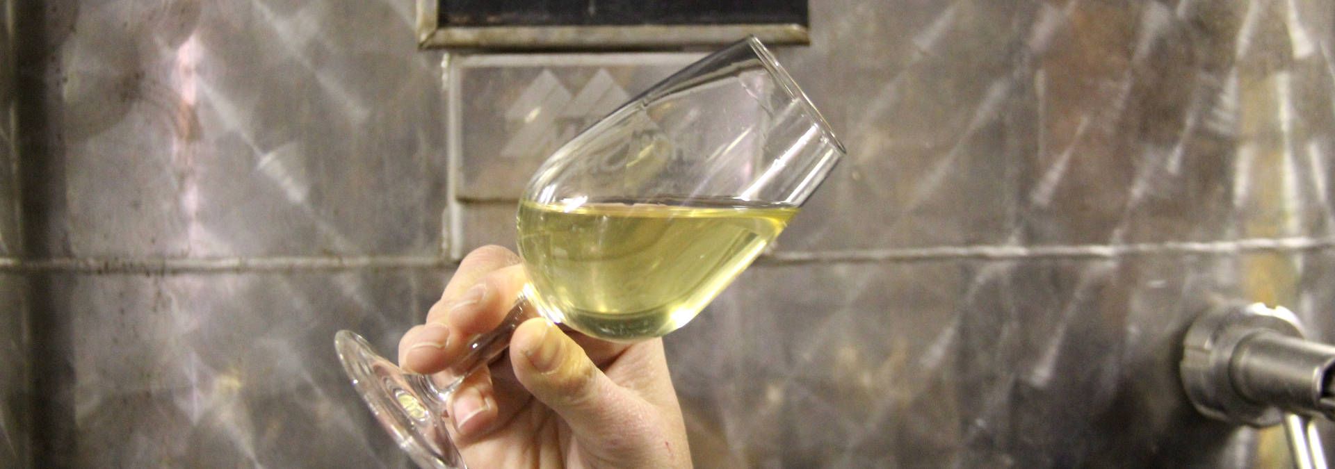 Domaine Dischler - Rue des Vignerons