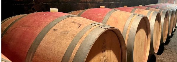 Tour of the winery and history of the appellation-photo