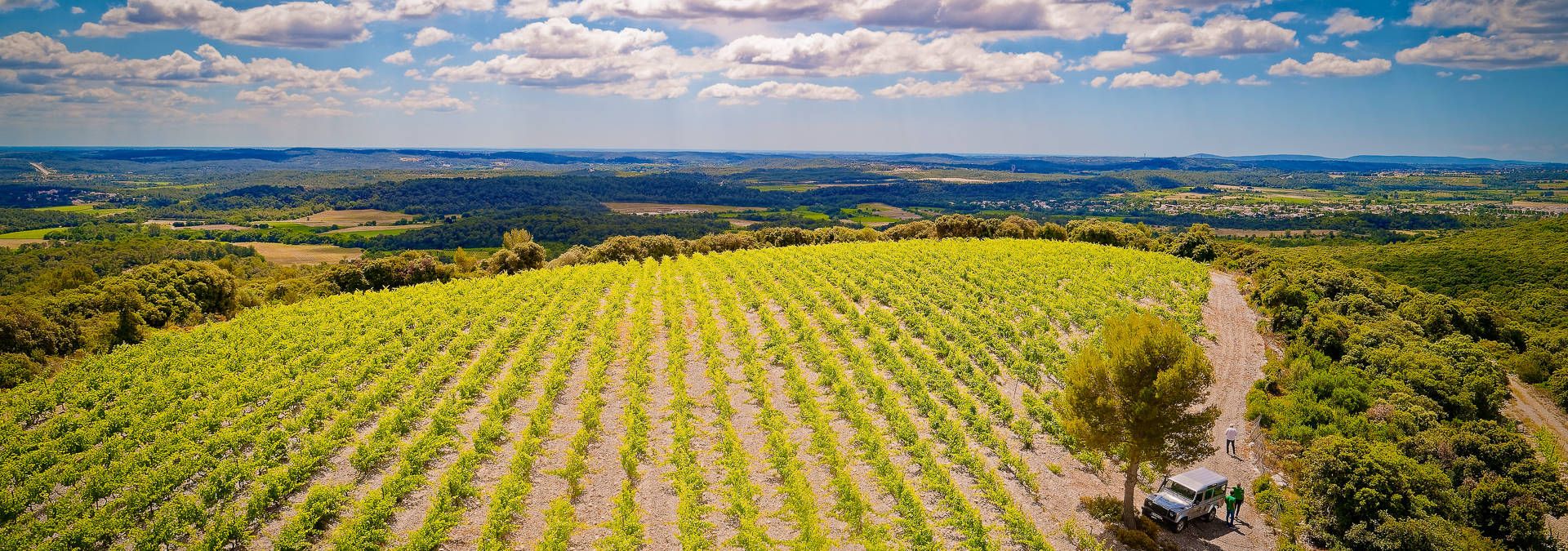 Domaine Haut Lirou - Rue des Vignerons