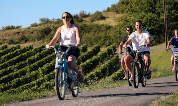 Moped ride in the heart of the Grande Champagne-photo