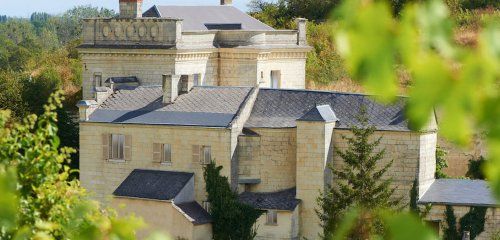 Château de Parnay photo